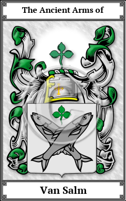 Van Salm Family Crest Download (JPG)  Book Plated - 150 DPI